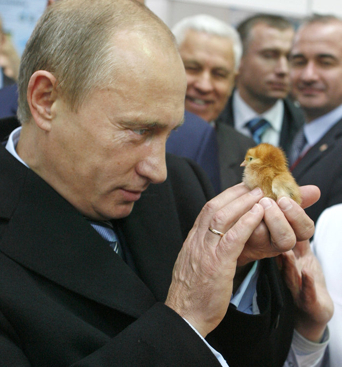 Картинки по запросу Владимир Путин во время посещения агропромышленной выставки «Золотая осень» на ВВЦ, 2008 год