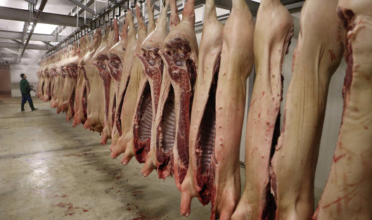 Россельхознадзор временно ограничивает поставки свинины и говядины из Бразилии